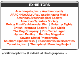 Exhibitors