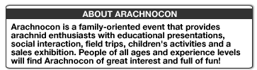 About ArachnoCon