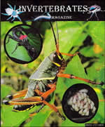 Invertebrates Magazine