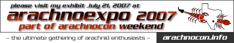 exhibitor banner