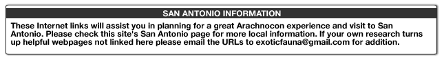 SAN ANTONIO INFORMATION